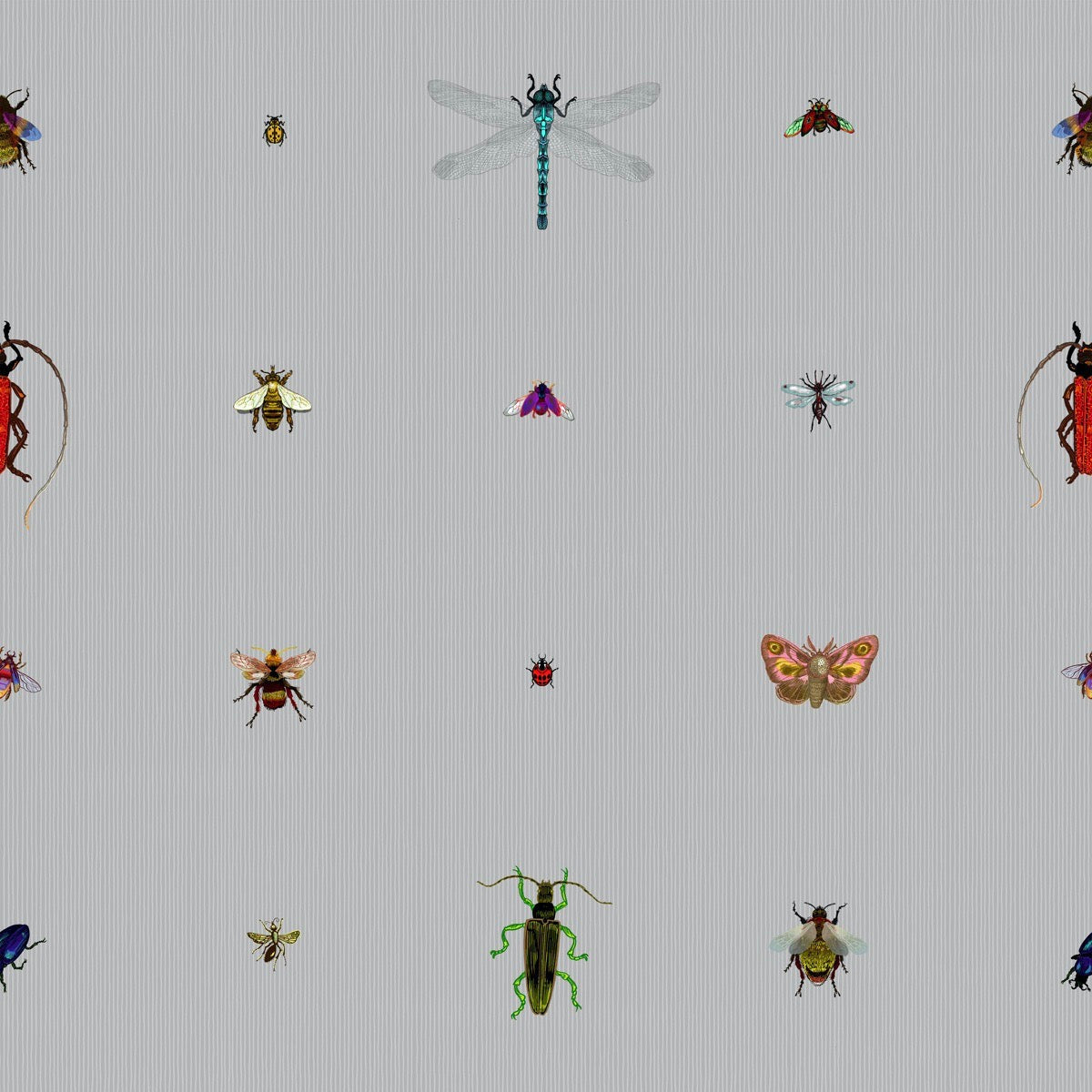 insect grid wallpaper by timorous beasties on adorn.house