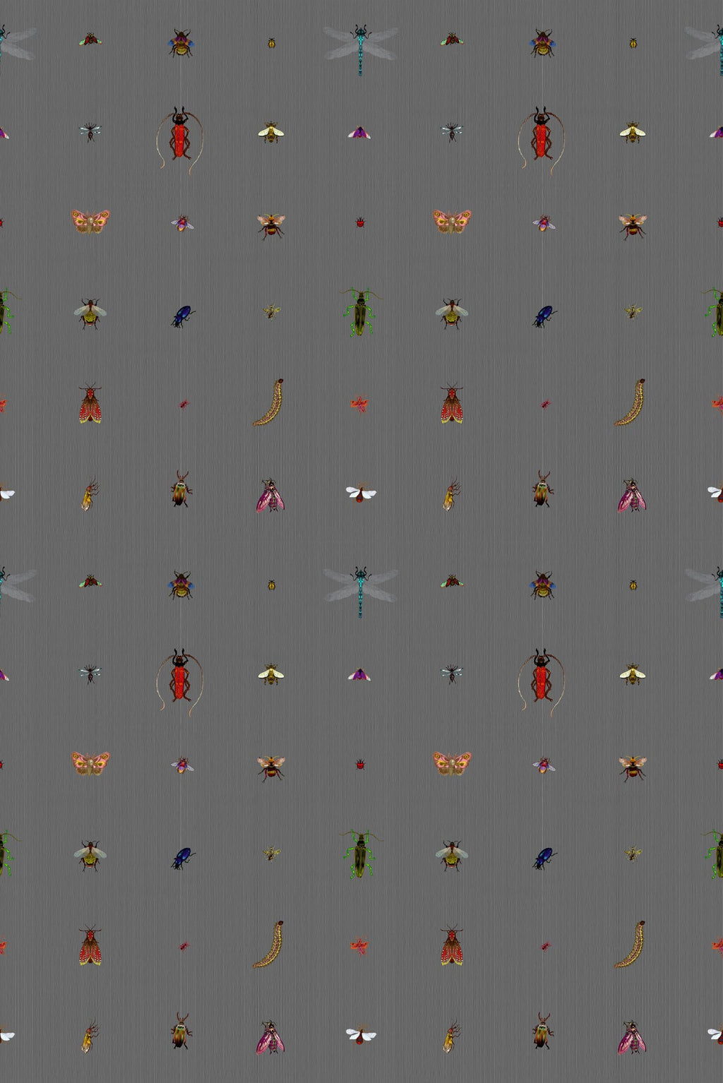insect grid wallpaper by timorous beasties on adorn.house