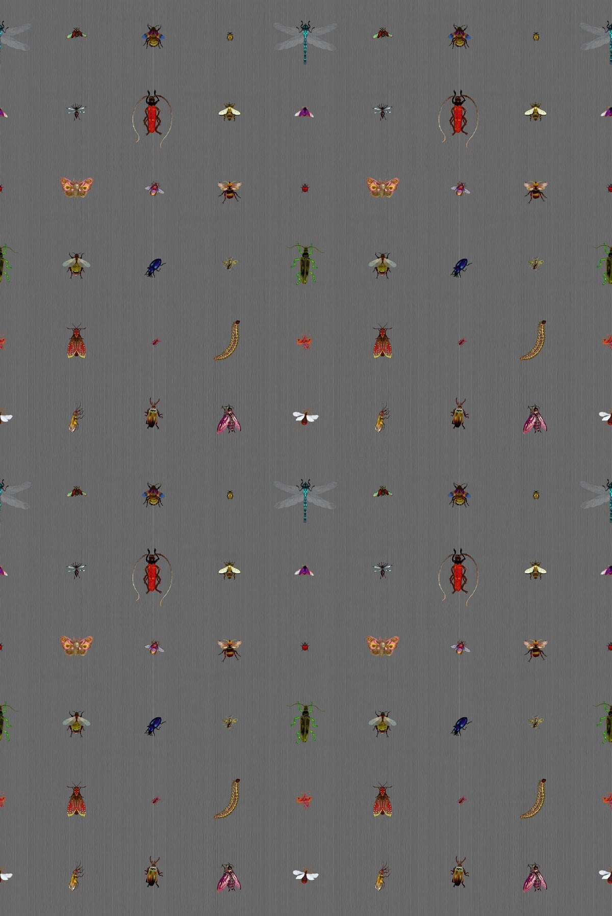 insect grid wallpaper by timorous beasties on adorn.house