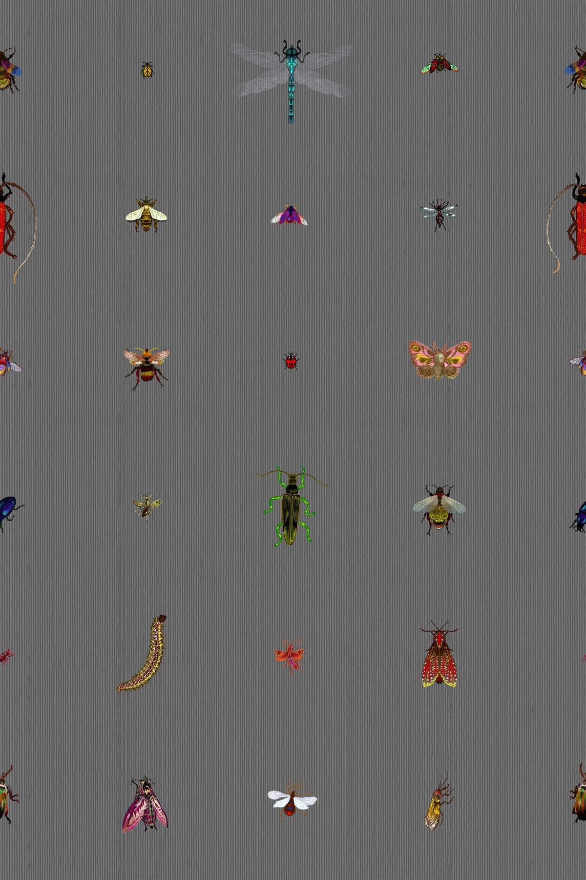insect grid wallpaper by timorous beasties on adorn.house
