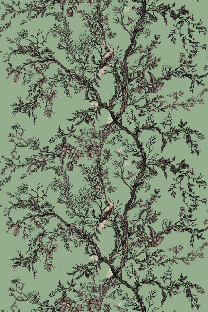 golden oriole superwide wallpaper by timorous beasties on adorn.house