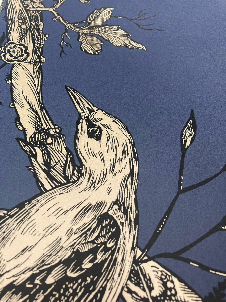 golden oriole superwide wallpaper by timorous beasties on adorn.house