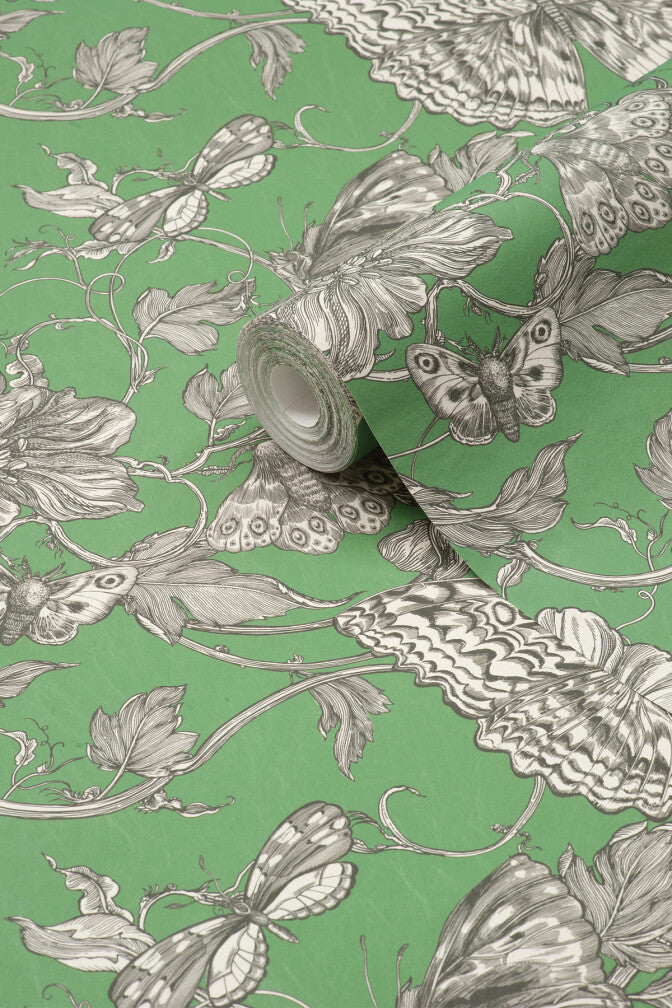papillion wallpaper by timorous beasties on adorn.house