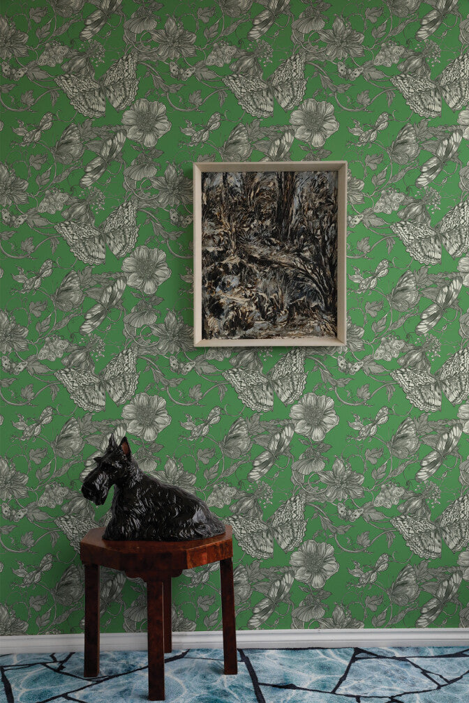 papillion wallpaper by timorous beasties on adorn.house