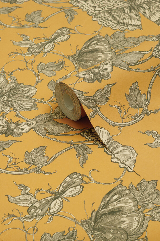 papillion wallpaper by timorous beasties on adorn.house