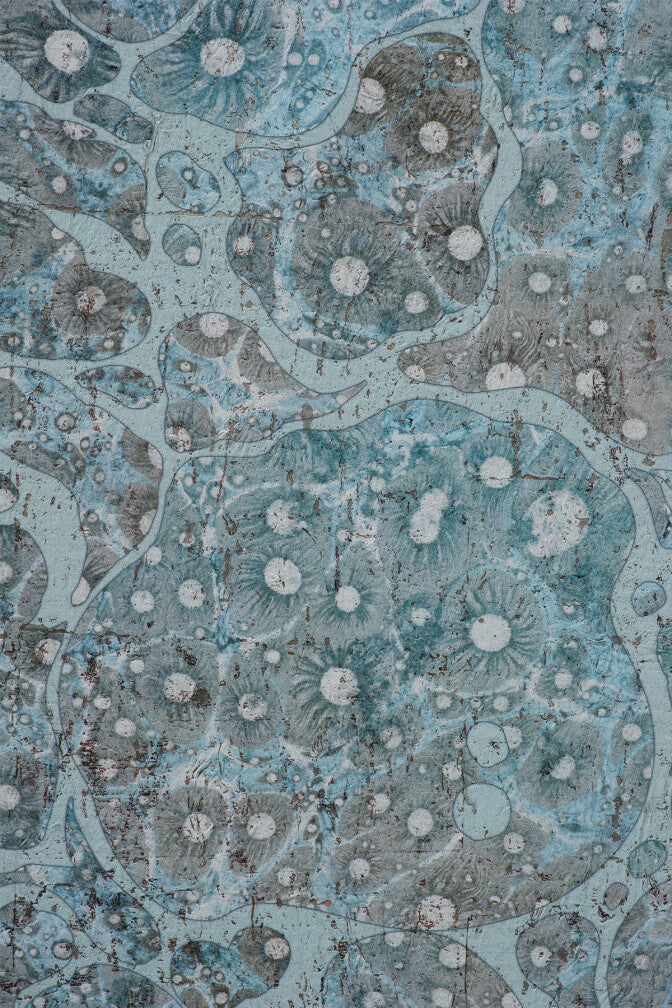 moonrock cork wallpaper by timorous beasties on adorn.house 