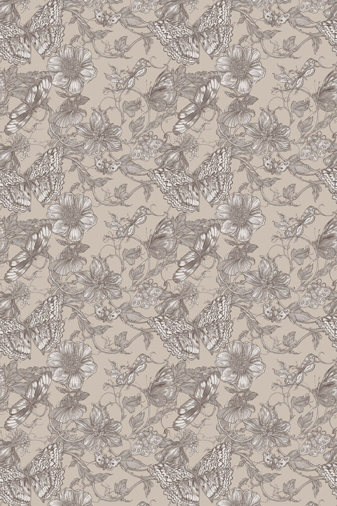 papillion wallpaper by timorous beasties on adorn.house