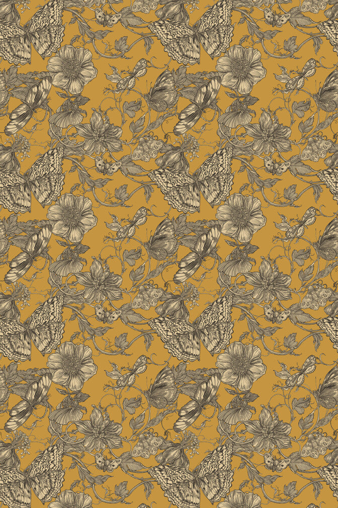 papillion wallpaper by timorous beasties on adorn.house