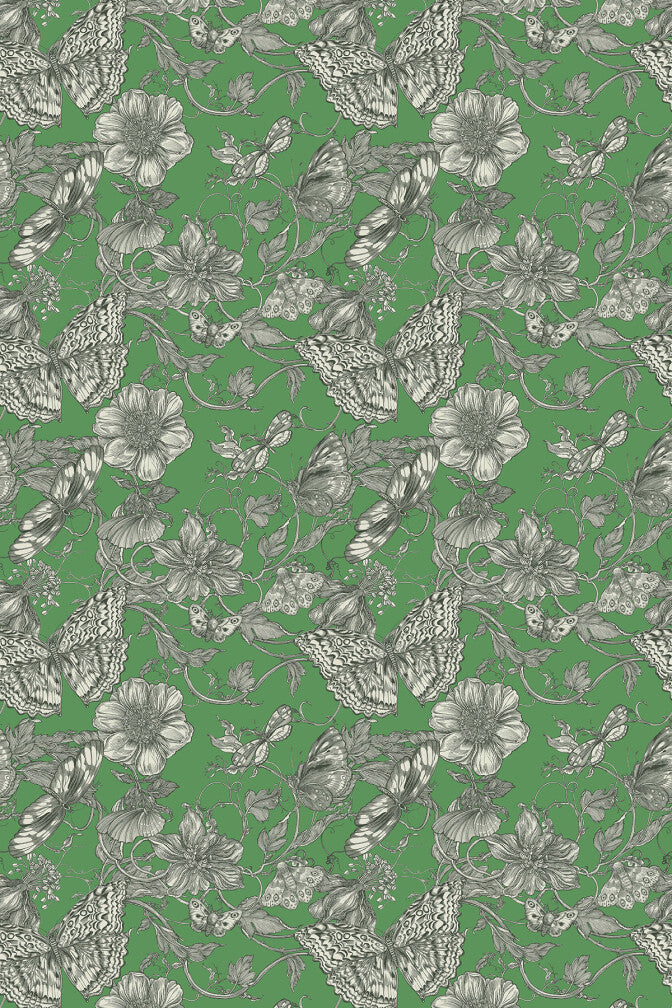 papillion wallpaper by timorous beasties on adorn.house