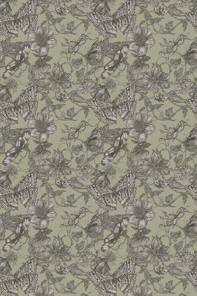 papillion wallpaper by timorous beasties on adorn.house