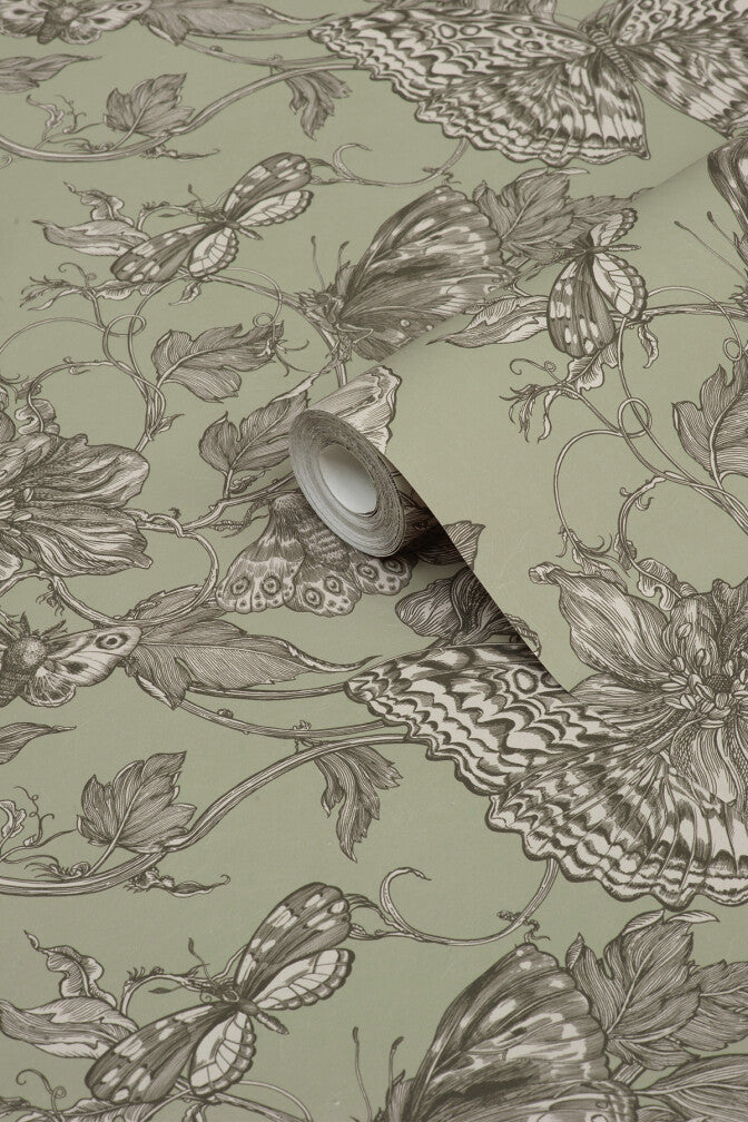 papillion wallpaper by timorous beasties on adorn.house