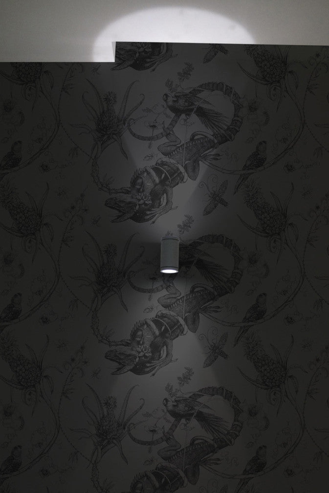 superwide iguana wallpaper by timorous beasties on adorn.house