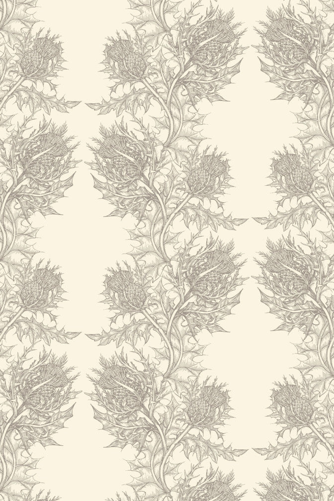 thistle wallpaper by timorous beasties on adorn.house