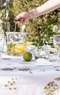 ombelle tablecloth