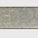 fossil organic glass valet tray