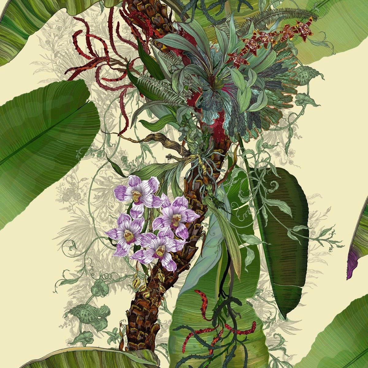 tropical tropical superwide wallpaper by timorous beasties on adorn.house