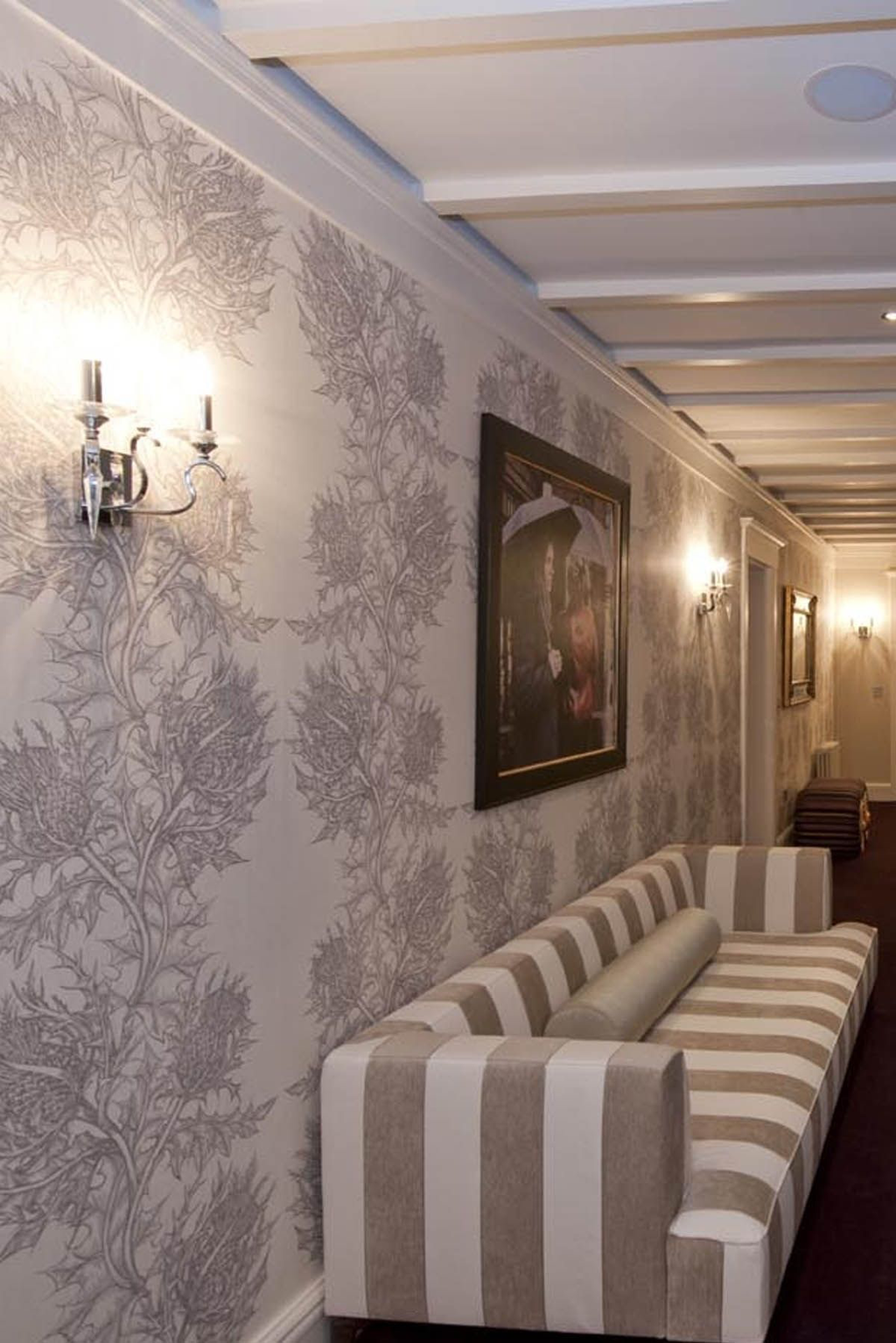 superwide thistle  wallpaper by timorous beasties on adorn.house