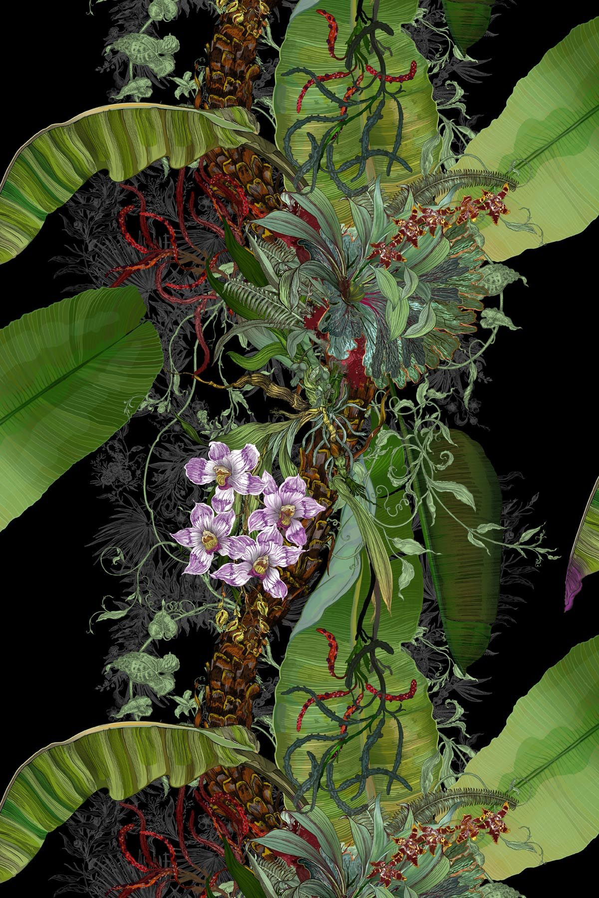 tropical tropical superwide wallpaper by timorous beasties on adorn.house