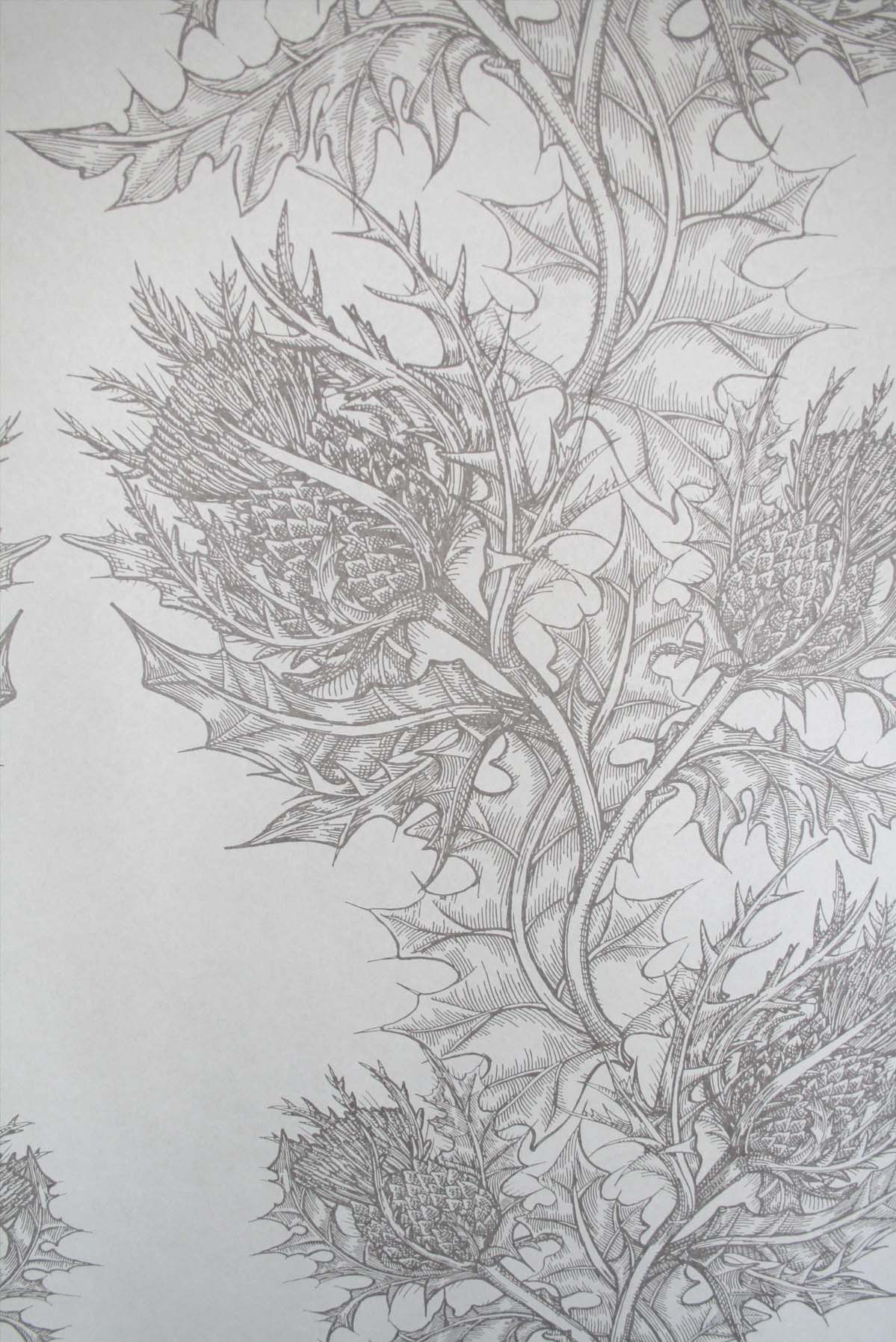superwide thistle  wallpaper by timorous beasties on adorn.house