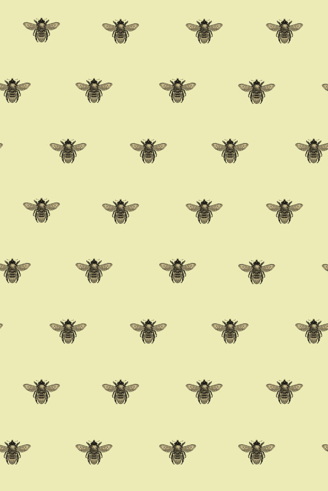 honey bee wallpaper by timorous beasties on adorn.house