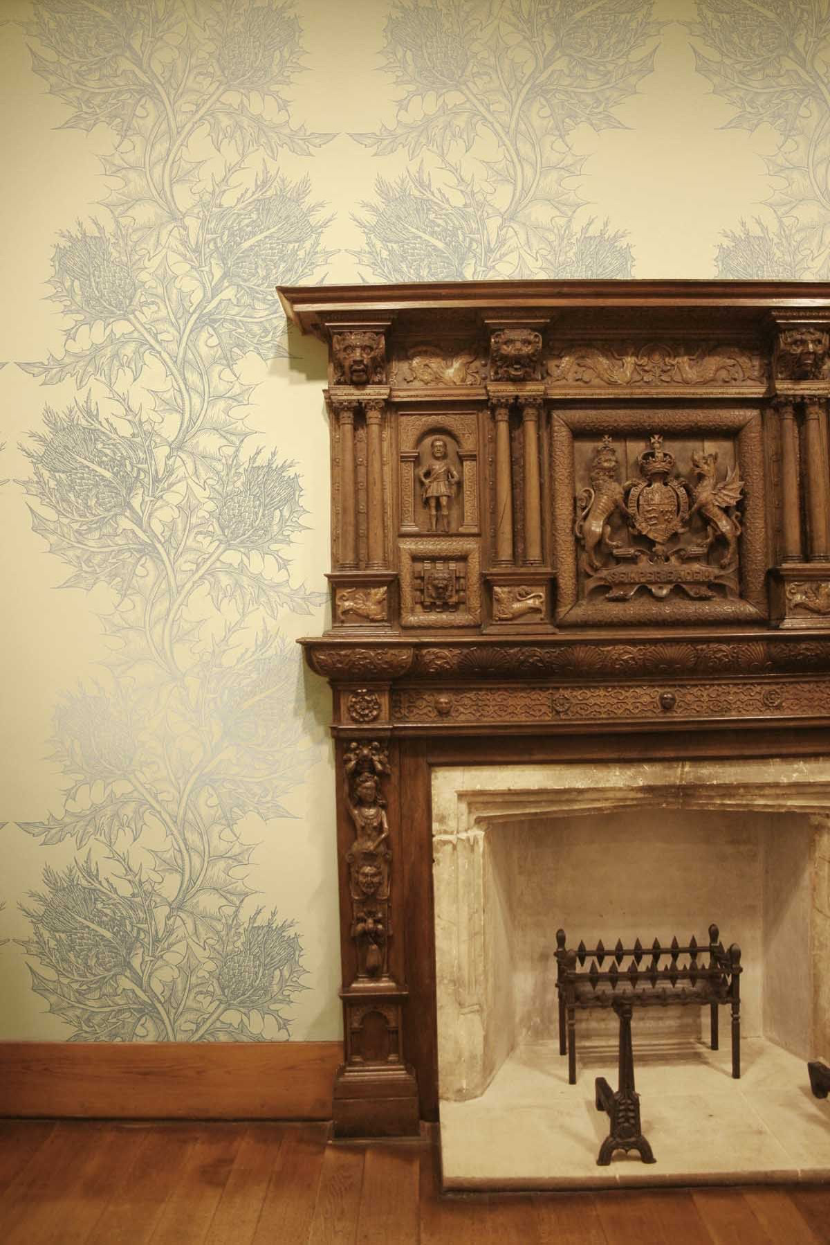 superwide thistle  wallpaper by timorous beasties on adorn.house