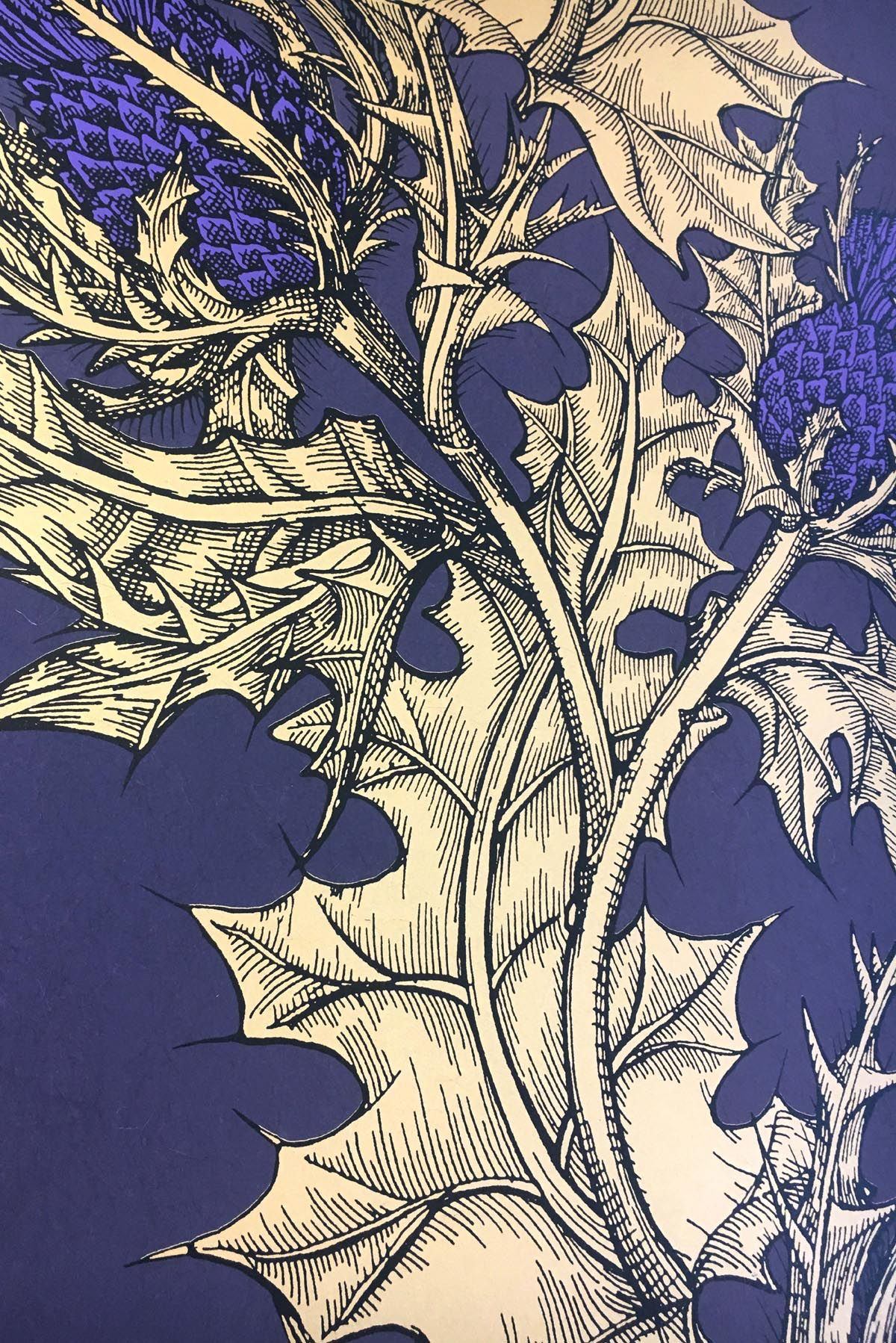 grand thistle wallpaper by timorous beasties on adorn.house