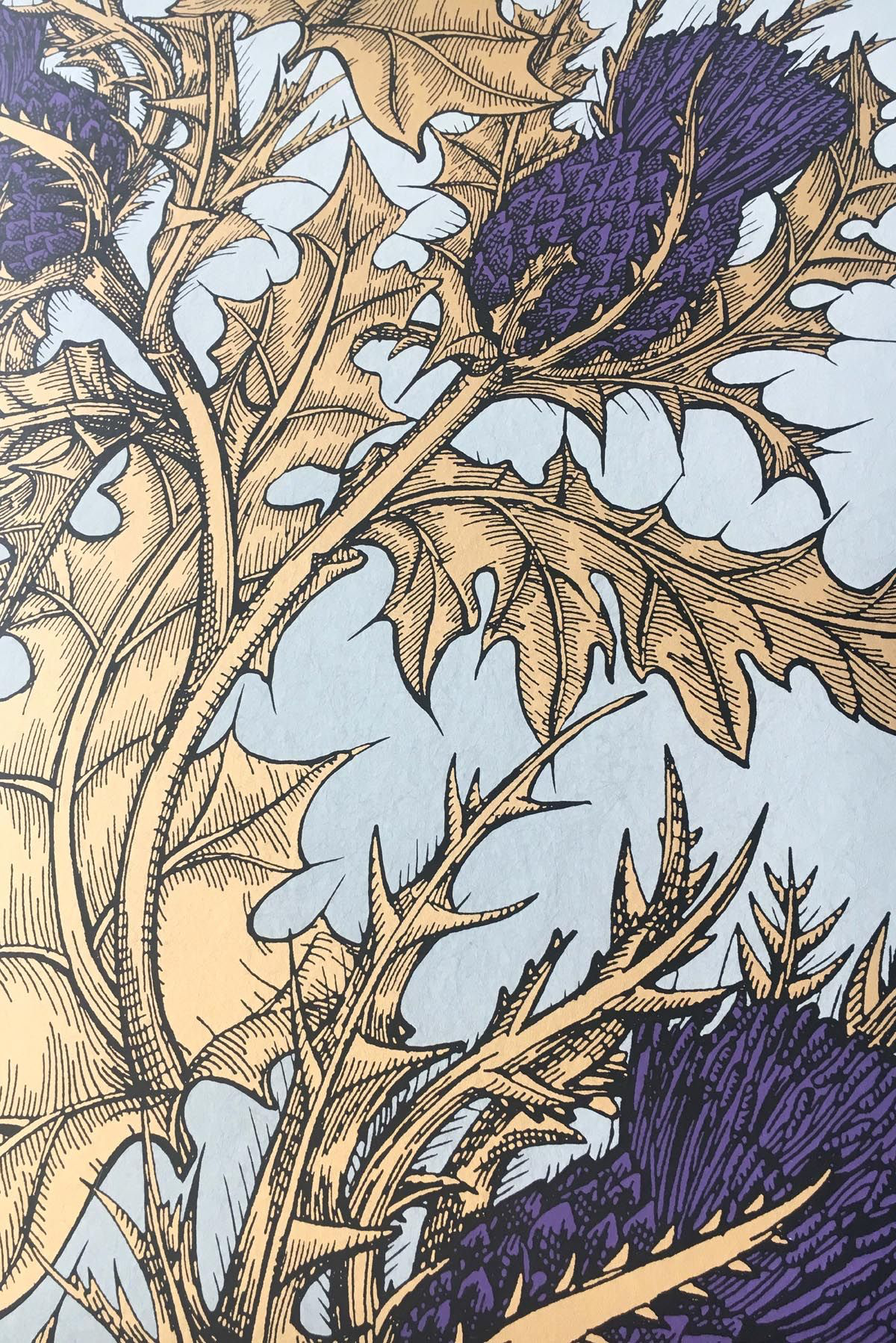 grand thistle wallpaper by timorous beasties on adorn.house