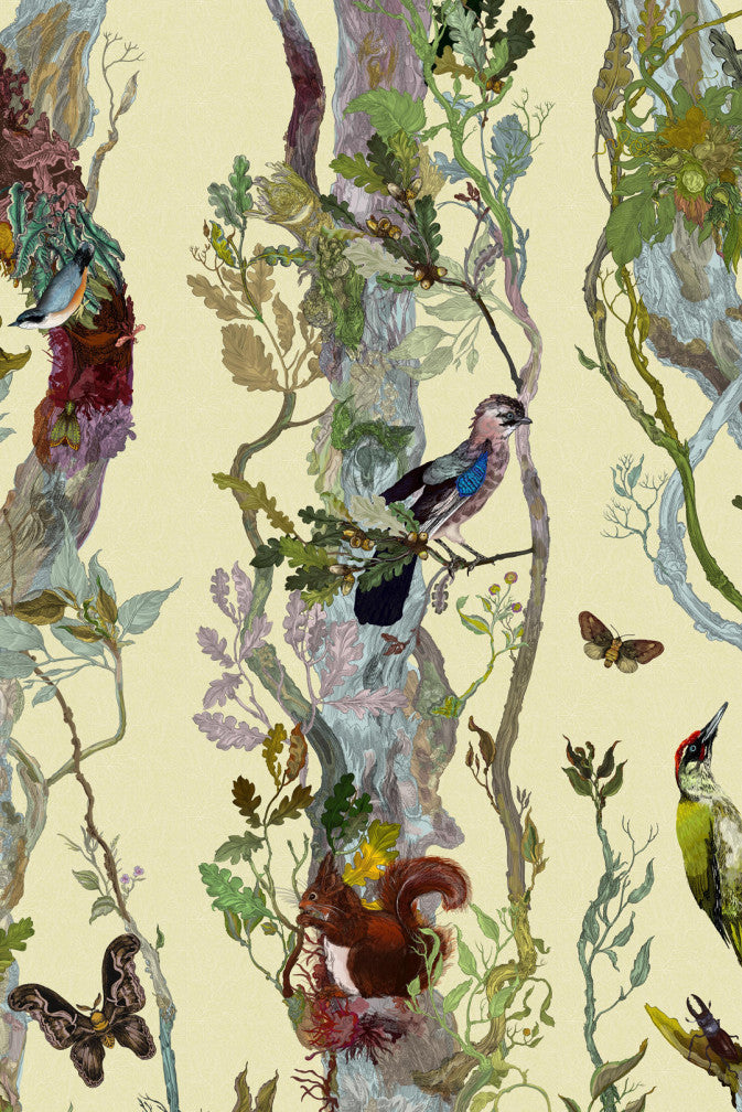 indie wood wallpaper by timorous beasties on adorn.house