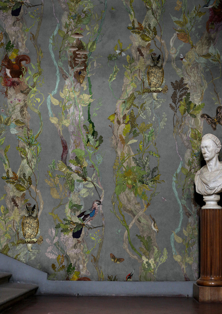 indie wood wallpaper by timorous beasties on adorn.house