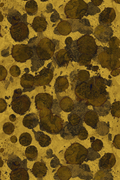 fresco old gold vinyl wallpaper by timorous beasties on adorn.house