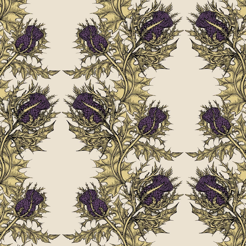 grand thistle wallpaper by timorous beasties on adorn.house