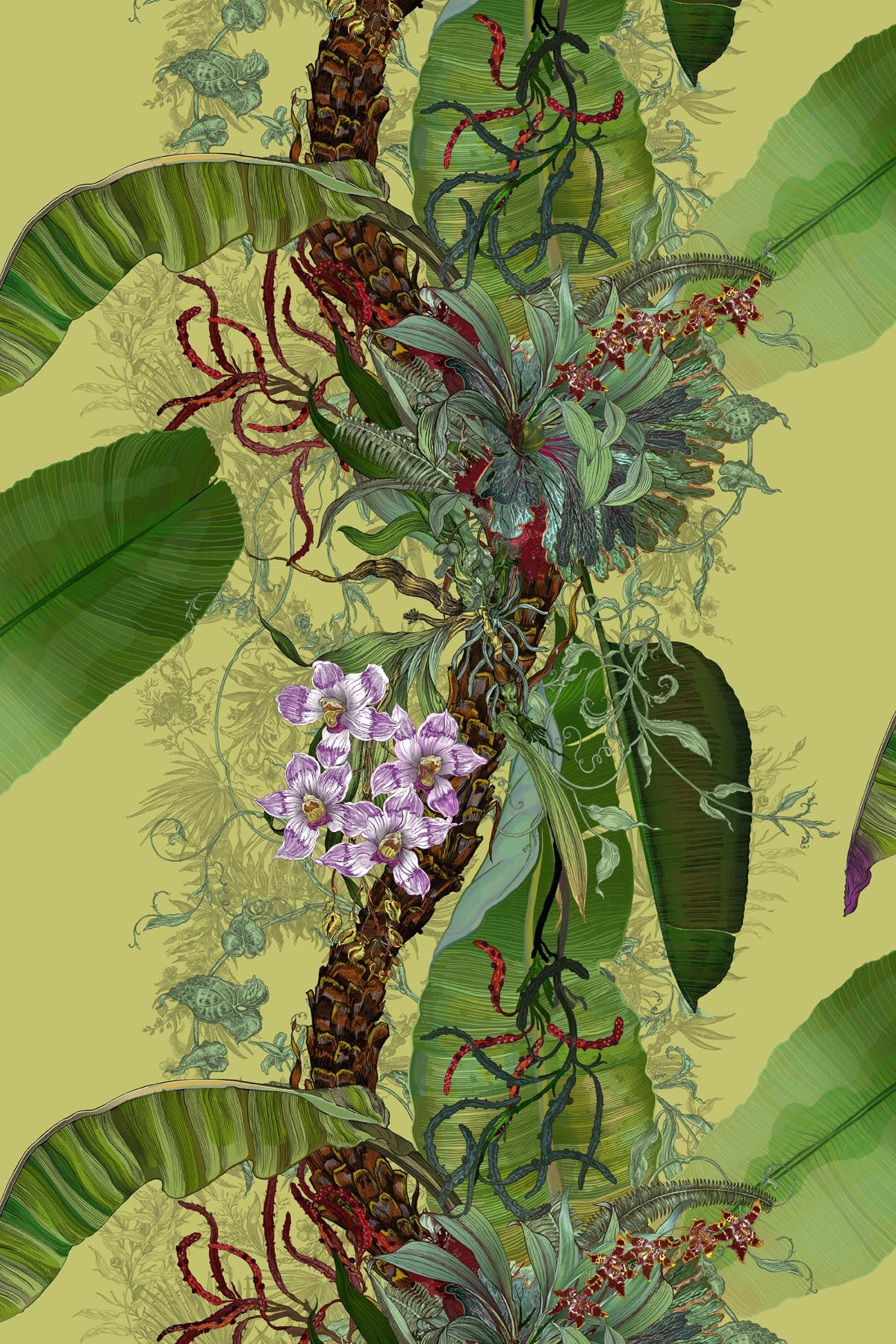 tropical tropical superwide wallpaper by timorous beasties on adorn.house