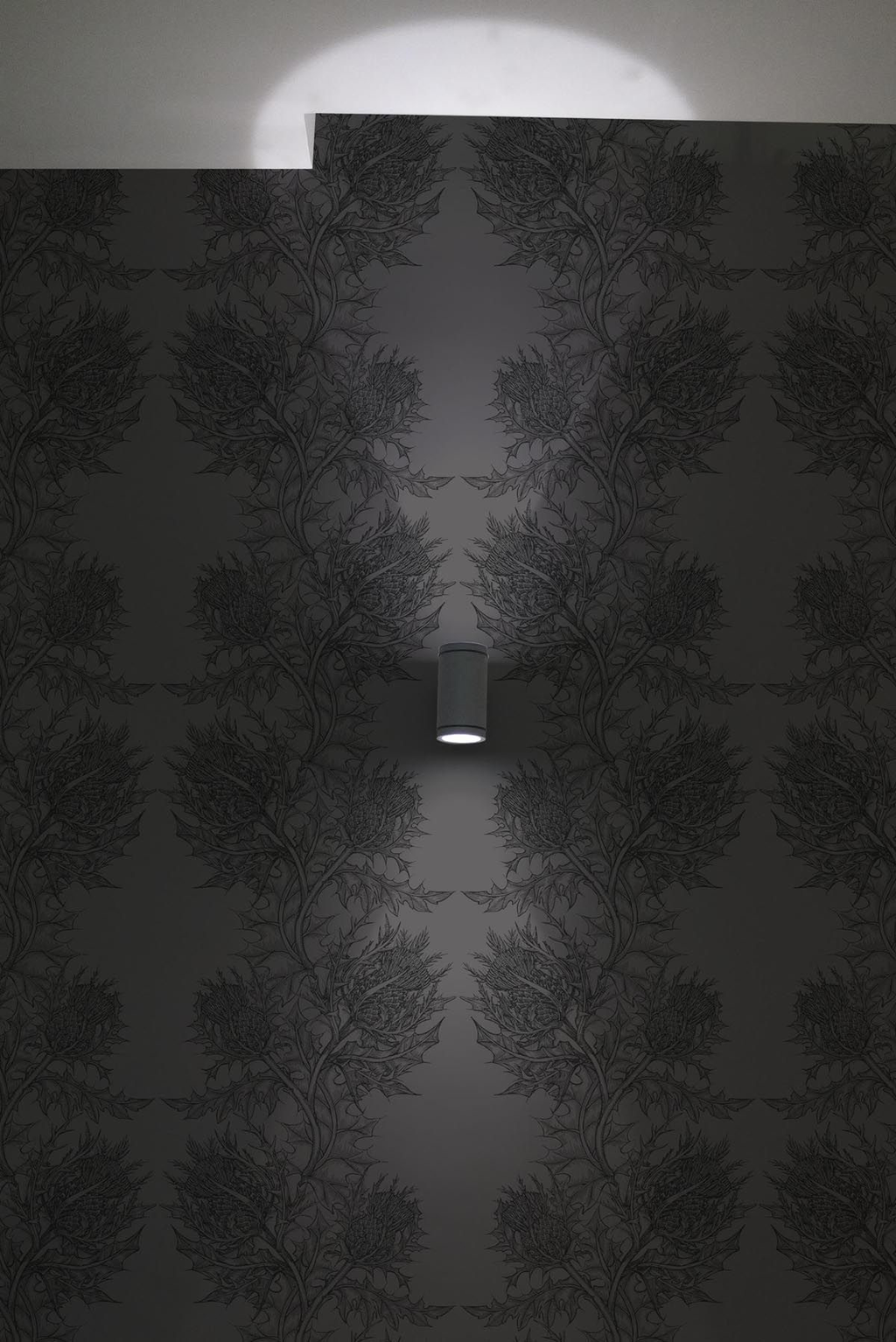 superwide thistle  wallpaper by timorous beasties on adorn.house