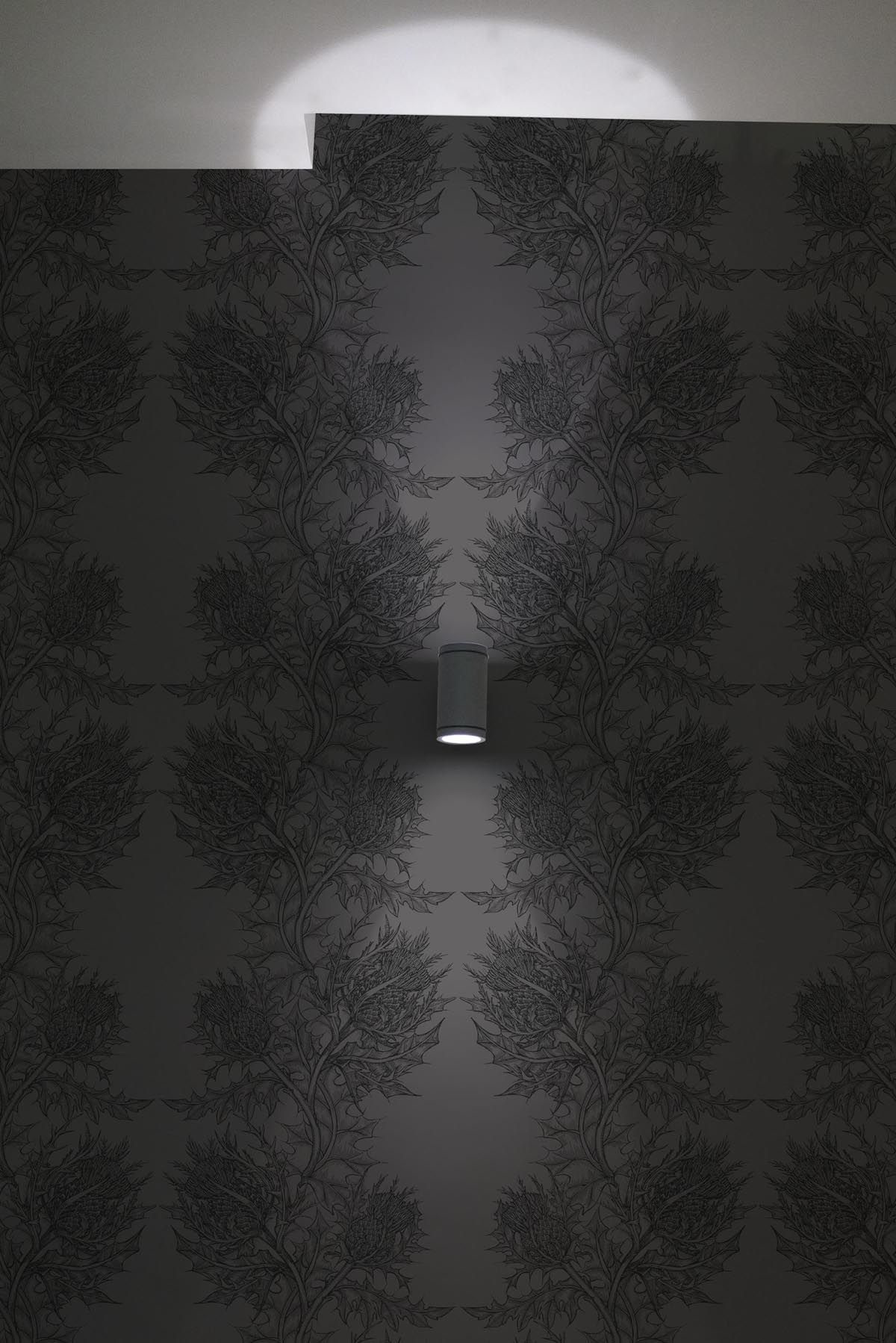 superwide thistle  wallpaper by timorous beasties on adorn.house