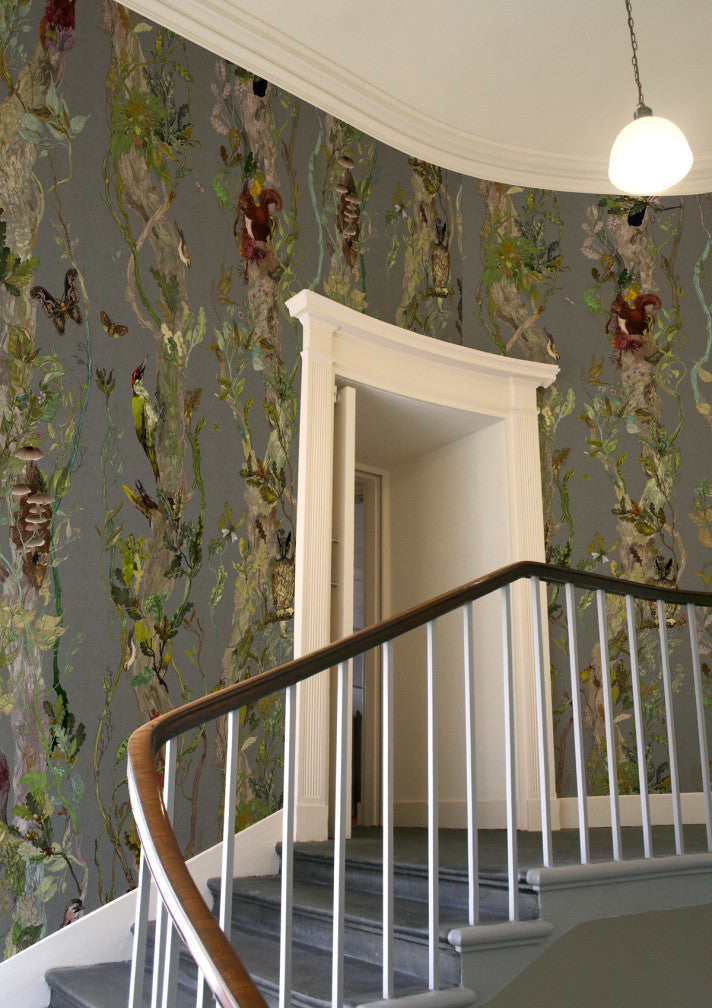 indie wood wallpaper by timorous beasties on adorn.house