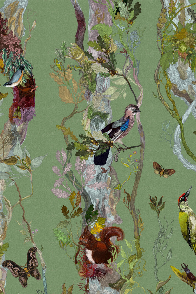 indie wood wallpaper by timorous beasties on adorn.house