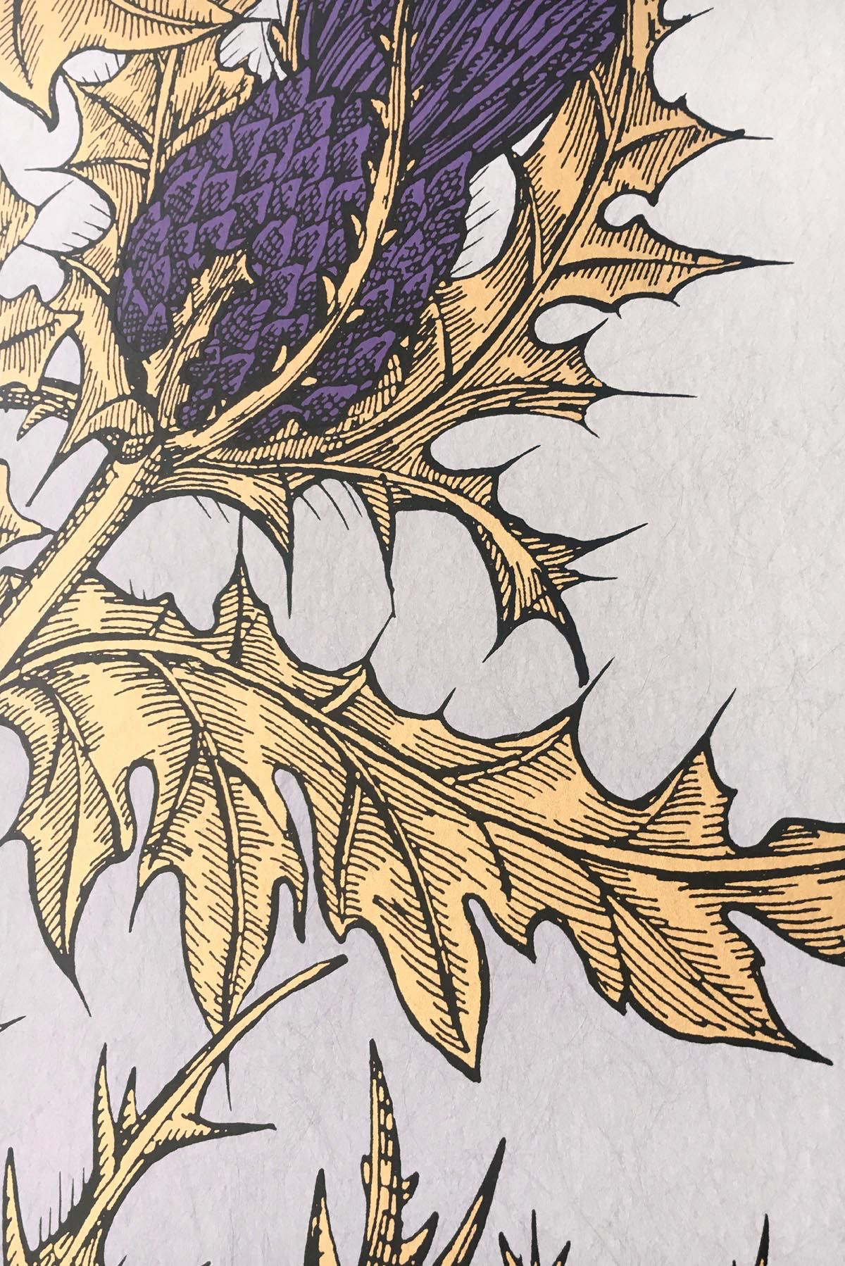 grand thistle wallpaper by timorous beasties on adorn.house