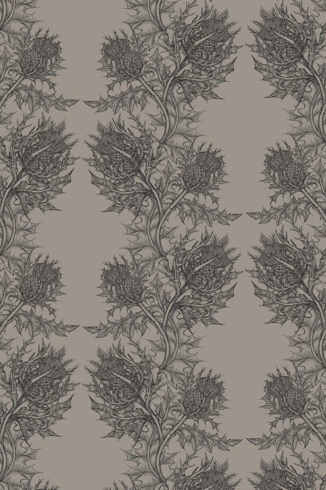 thistle wallpaper by timorous beasties on adorn.house