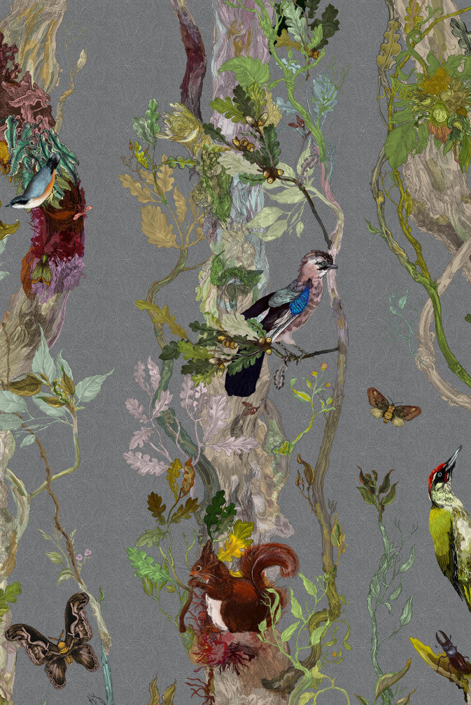 indie wood wallpaper by timorous beasties on adorn.house