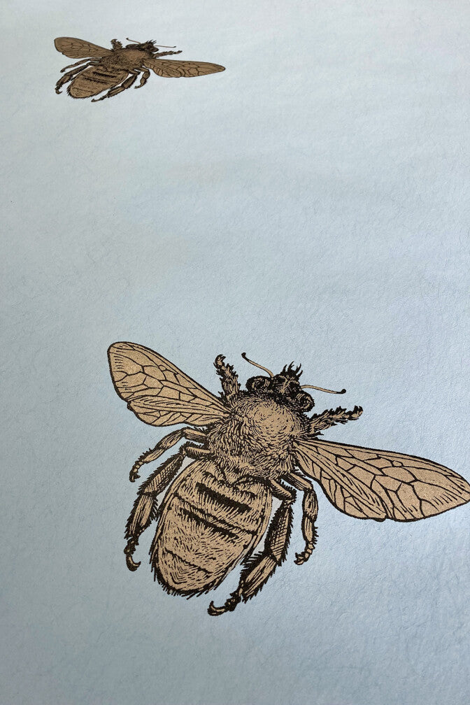 honey bee wallpaper by timorous beasties on adorn.house
