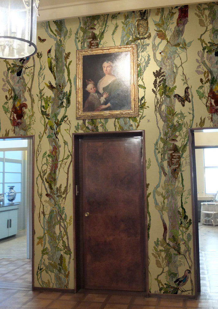 indie wood wallpaper by timorous beasties on adorn.house