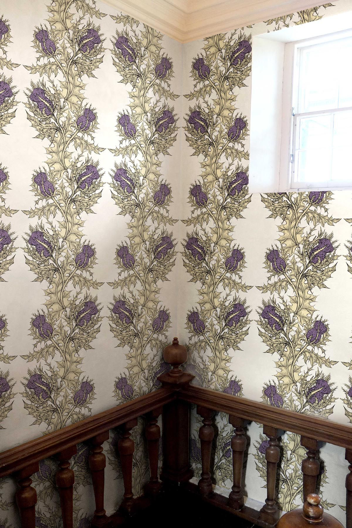 grand thistle wallpaper by timorous beasties on adorn.house