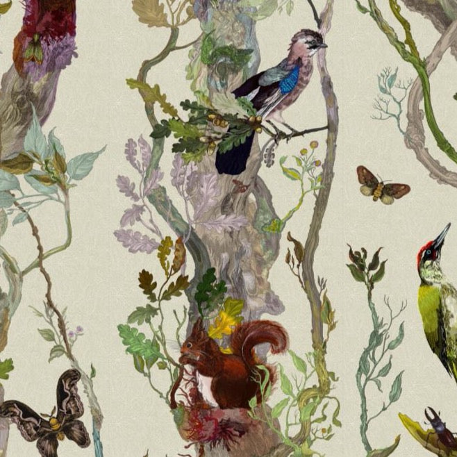 indie wood wallpaper by timorous beasties on adorn.house