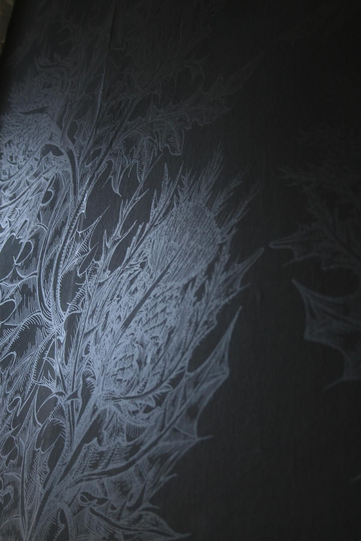 superwide thistle  wallpaper by timorous beasties on adorn.house