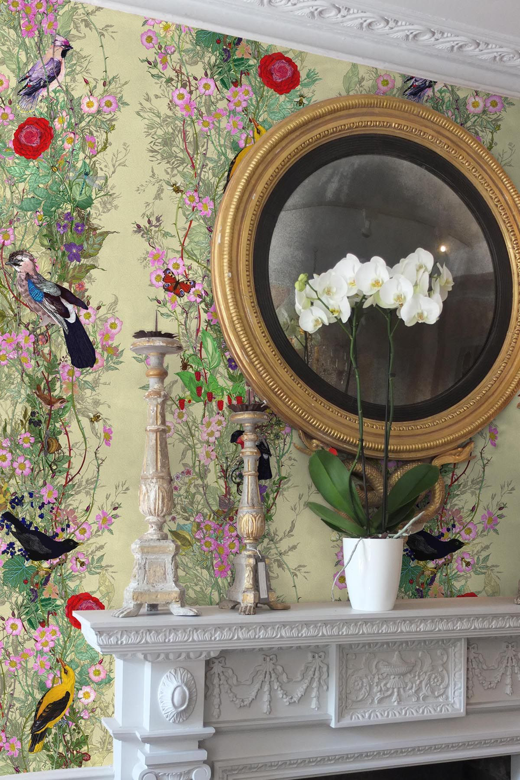 fruit looters wallpaper by timorous beasties on adorn.house