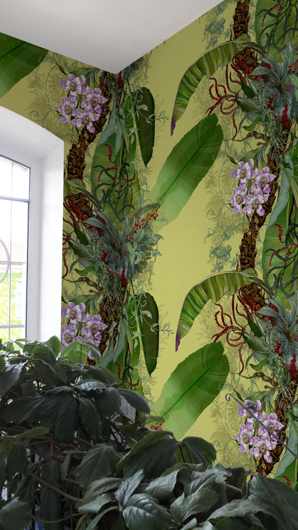tropical tropical superwide wallpaper by timorous beasties on adorn.house