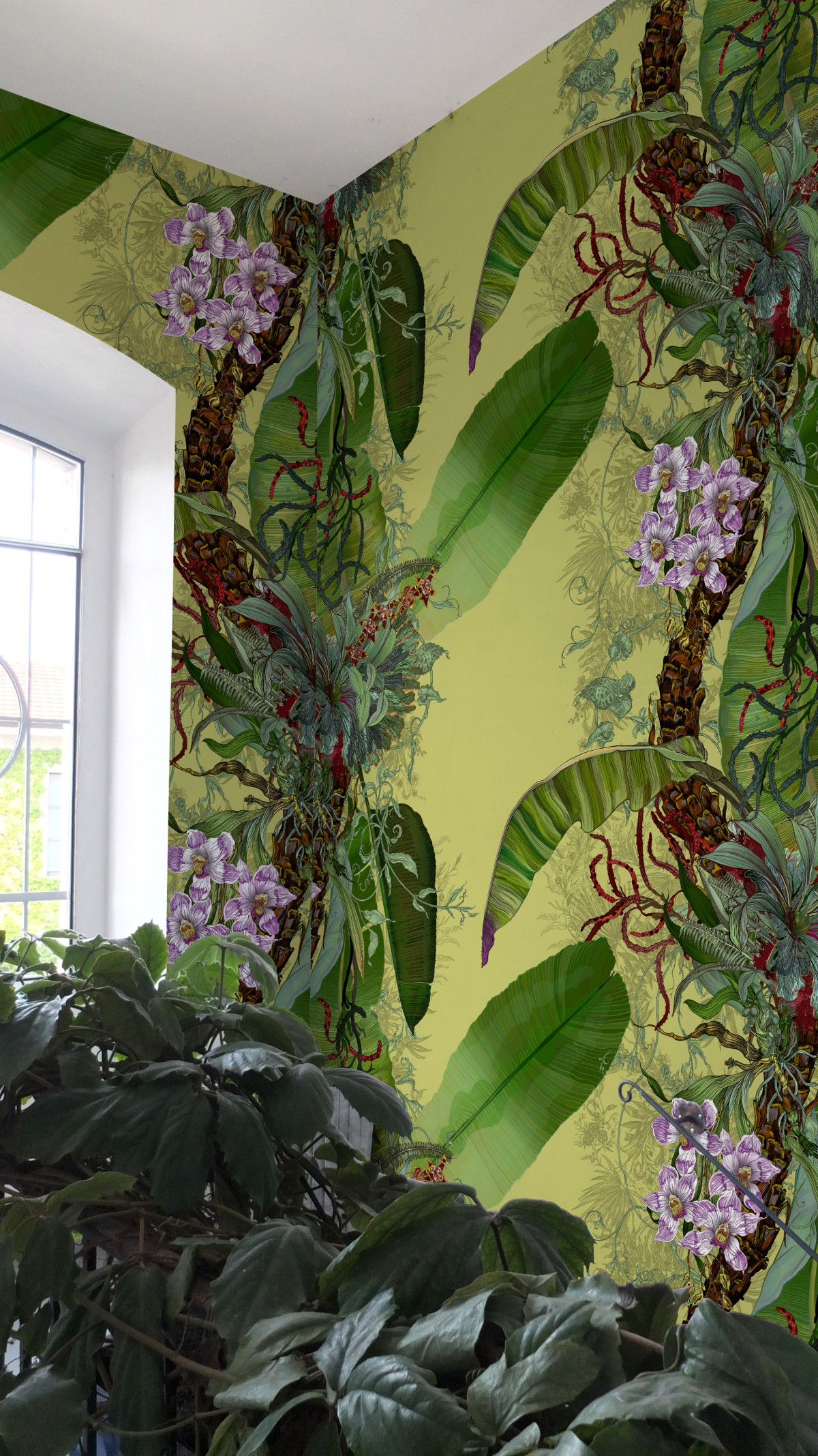 tropical tropical superwide wallpaper by timorous beasties on adorn.house