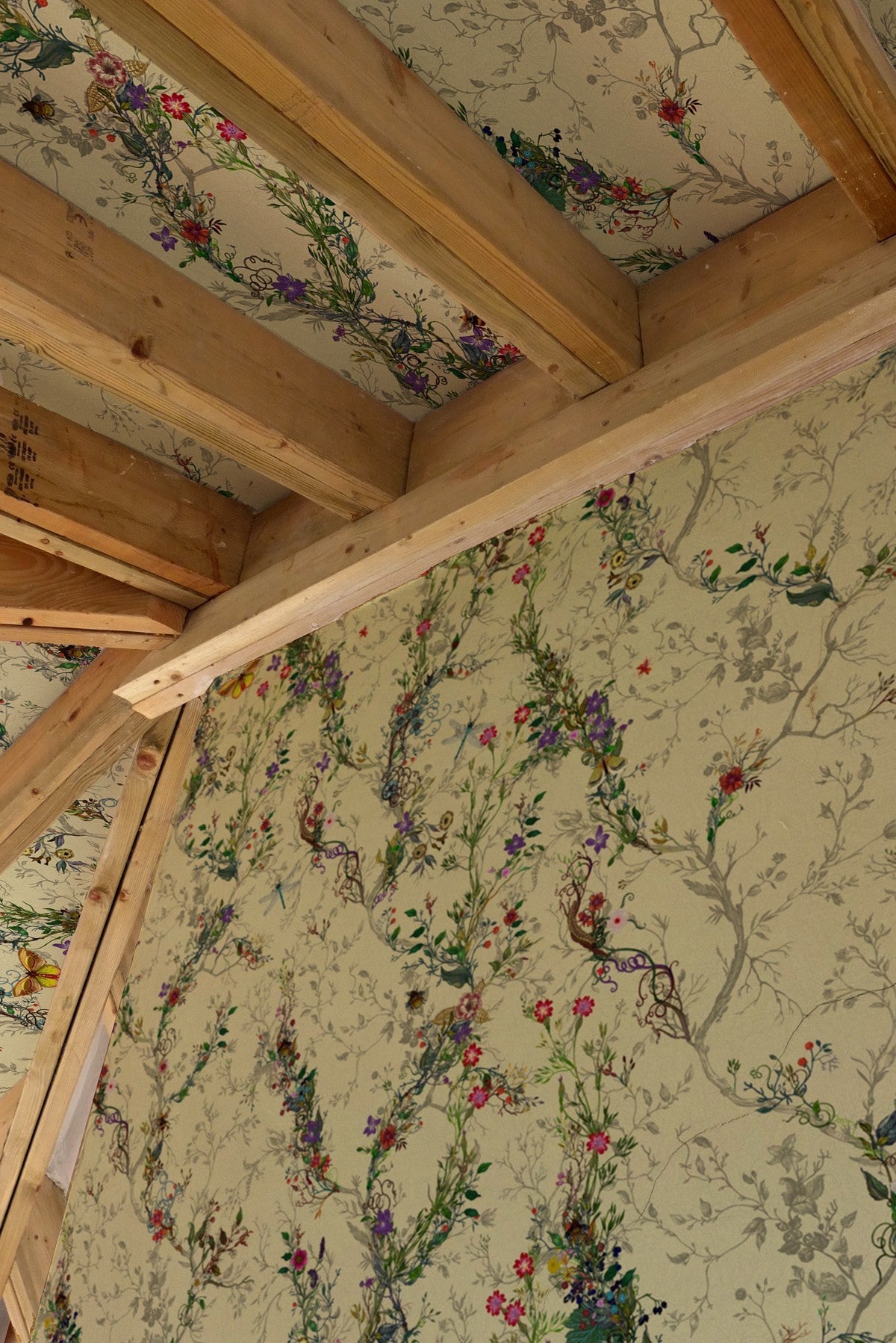 random ruskin wallpaper by timorous beasties on adorn.house