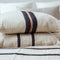the patagonian stripe pillow cover