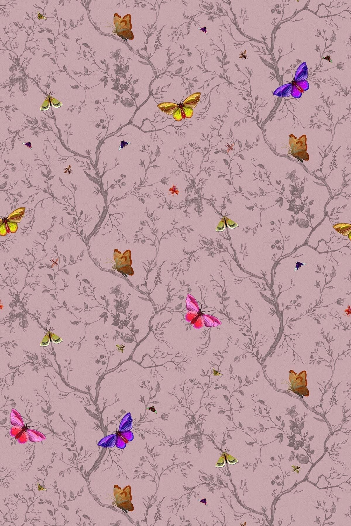 butterflies wallpaper by timorous beasties on adorn.house